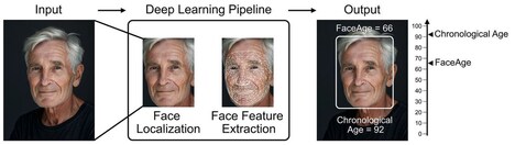Facial Health Biometrics