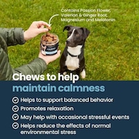 Calming Dog Supplements Image 2