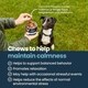 Calming Dog Supplements Image 2