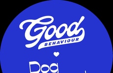 Dog-Friendly Frozen Treats