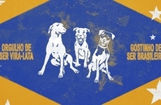 Mixed-Breed Dog Campaigns