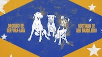 Mixed-Breed Dog Campaigns Image 1
