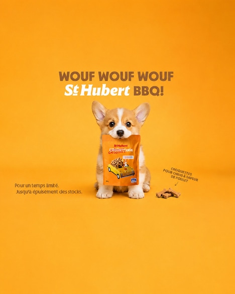 Sauce-Themed Dog Treats