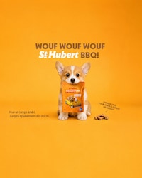 Sauce-Themed Dog Treats