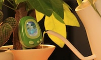 Gamified Plant Sensors Image 1