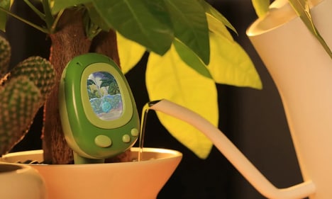 Gamified Plant Sensors