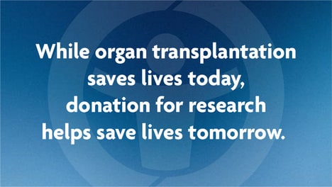 Drone-Transported Organ Donations