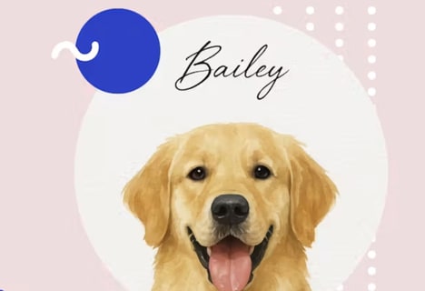 AI Pet Portrait Creators