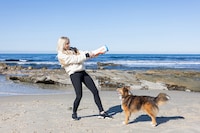 Dog Ball Blasters Image 1