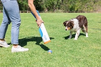 Dog Ball Blasters Image 2