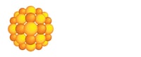 Dermal Regeneration Templates