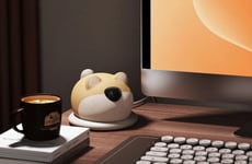 Desktop Robot Companions