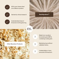 High-Quality Mushroom Mycelium Supplements Image 3