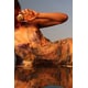 Sun-Inspired Scent Mists Image 1