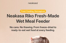 Food-Preparing Cat Feeders