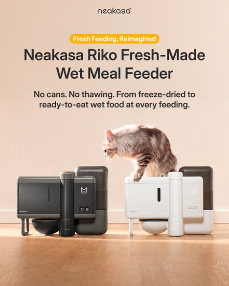 Food-Preparing Cat Feeders