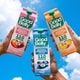 Multifunctional Plant-Based Smoothies Image 1