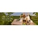 Staycation-Themed Retailer Campaigns Image 1