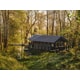 Woodland Yoga Cabins Image 2