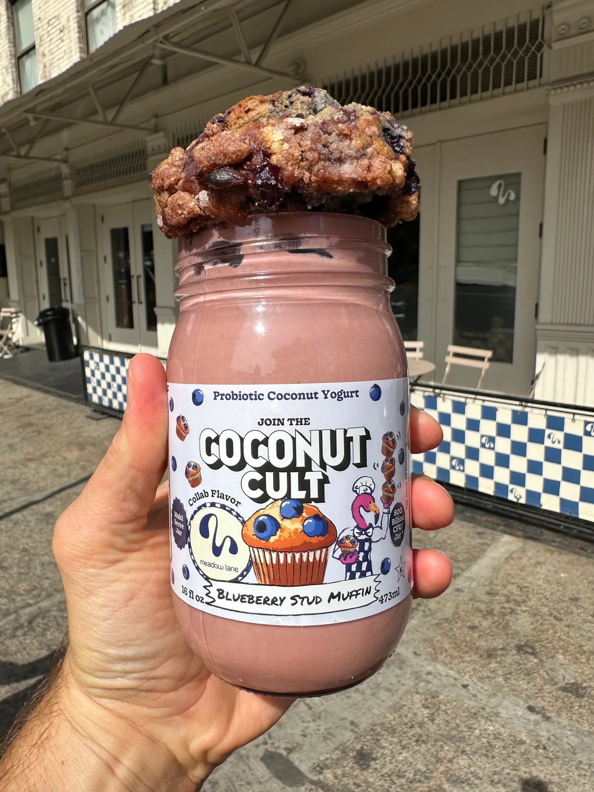 Muffin-Flavored Fermented Yogurts: The Coconut Cult Crafted