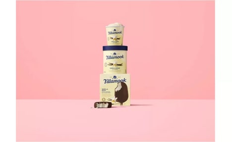 Educational Ice Cream Campaigns