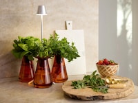 Glass Hydroponic Gardens Image 1