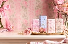 Hyper-Feminine Deodorant Cases