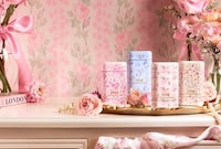 Hyper-Feminine Deodorant Cases