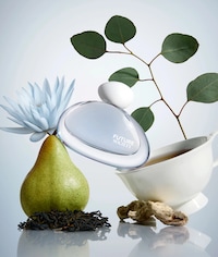 Falling Water Fragrances Image 2