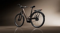 Branded Drivetrain eBikes