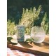 Canned Mocktail Spritzes Image 1
