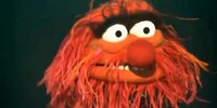 Rockstar Puppet Virals Image 2