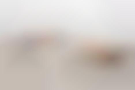 Fleshy Landscapes