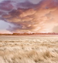 Immaculate Miniature Landscapes Image 6