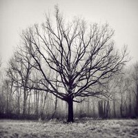 Winter Wonderland Shoots Image 3