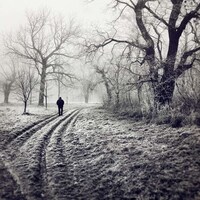 Winter Wonderland Shoots Image 5