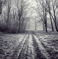 Winter Wonderland Shoots Image 8