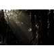 Sunlit Naturetography Image 3