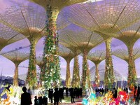 Solar Tree Gardens