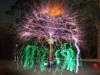 Light Show Xmas Trees Image 3