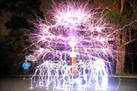 Light Show Xmas Trees Image 4