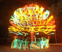 Light Show Xmas Trees Image 6
