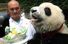 Cake-Eating Pandas