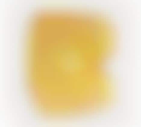 Edible Dinner Plates