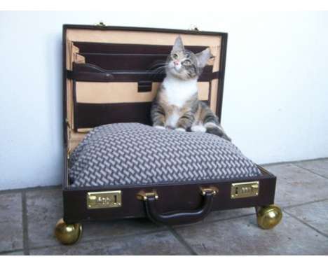 76 Sightseeing Suitcases