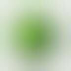 Tweet App Reviews