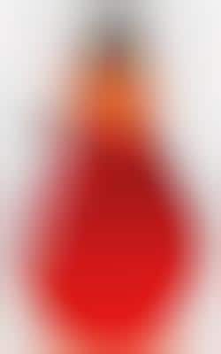 Light Bulb Juice Bottles