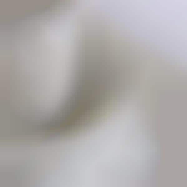 66 Eccentric Dinner Plates