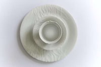 Veiny Dishes Image 4