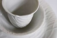 Veiny Dishes Image 5
